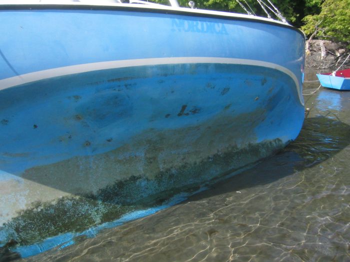 gal/2006-05-05 Careening/IMG_3161.jpg